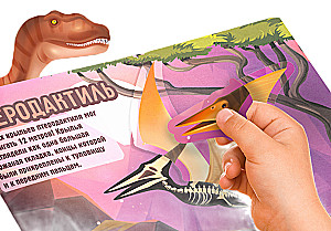 Sticker Book - Dinosaurs. Whose Skeleton Is This?