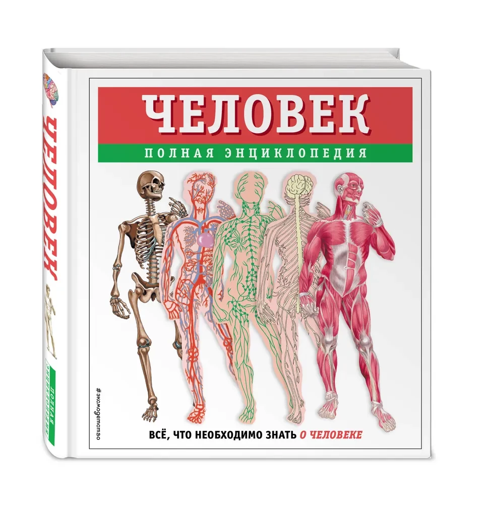 Человек. Полная энциклопедия