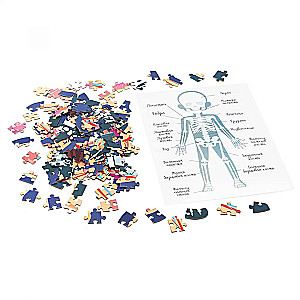 Puzzle-192 - Kids Games. Human Body