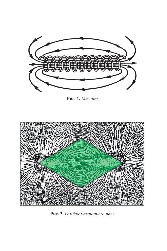 Quantum Biomechanics of the Body. Methodology for Health of the Musculoskeletal System. Part 2