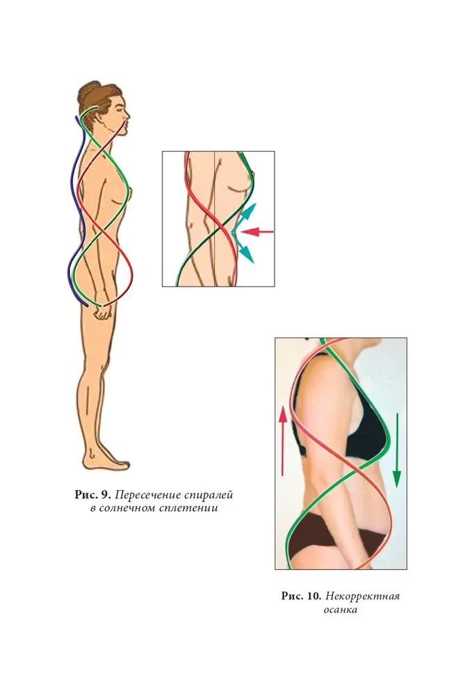 Quantum Biomechanics of the Body. Methodology for Health of the Musculoskeletal System. Part 2