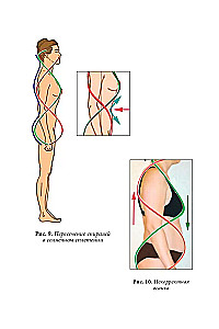 Quantum Biomechanics of the Body. Methodology for Health of the Musculoskeletal System. Part 2