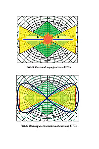 Quantum Biomechanics of the Body. Methodology for Health of the Musculoskeletal System. Part 2