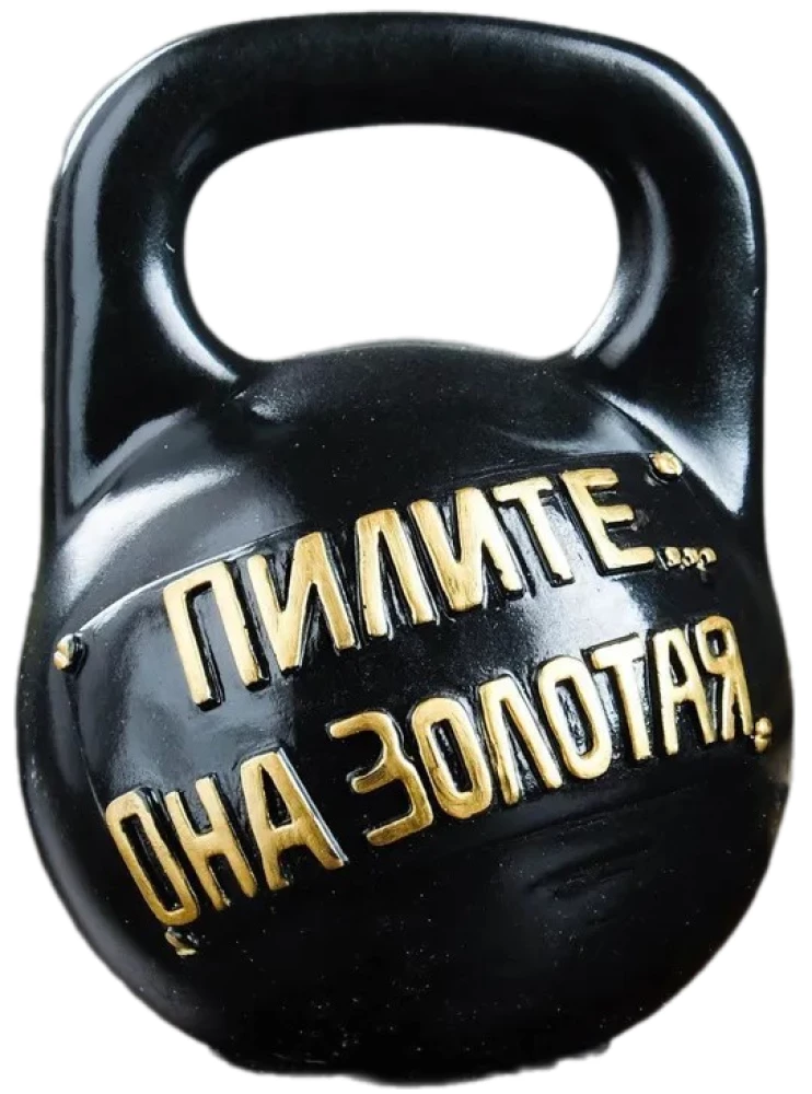 Piggy Bank - Kettlebell, 16 kg