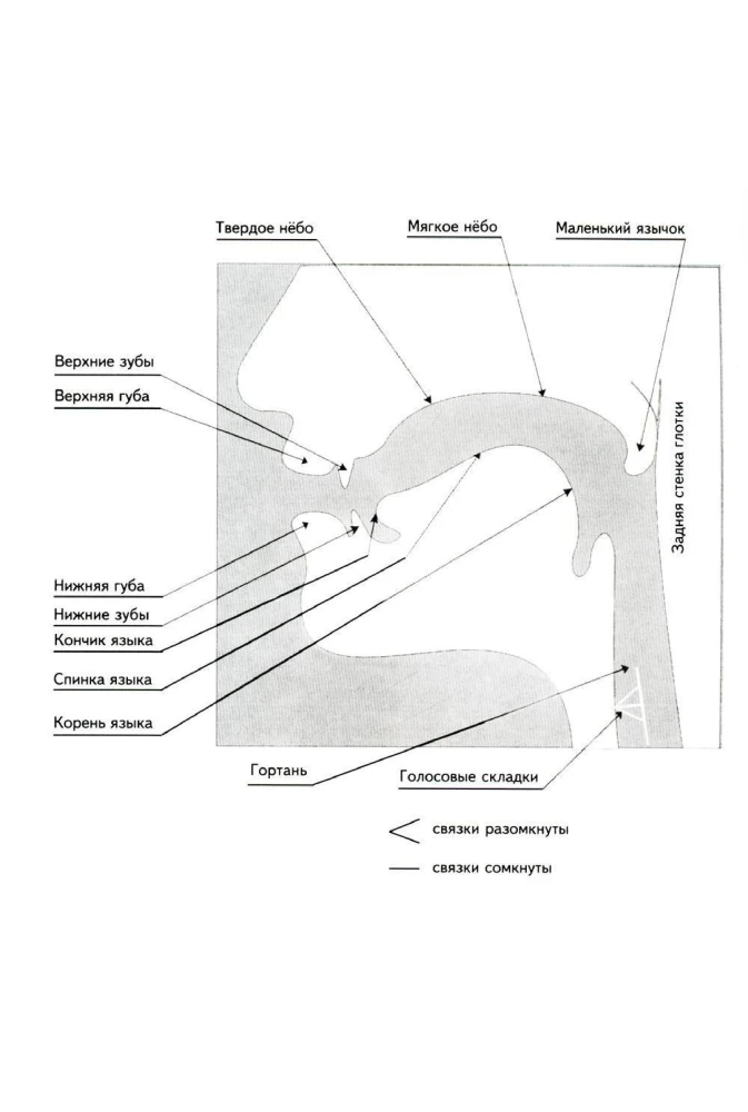 Articulation of sounds in graphic representation