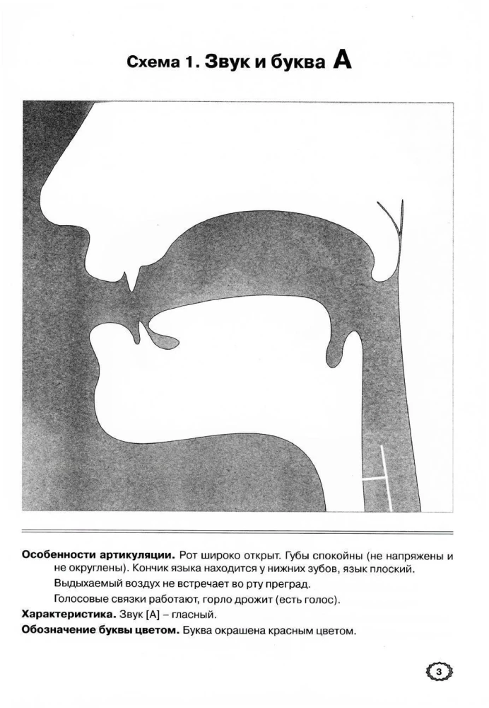 Articulation of sounds in graphic representation