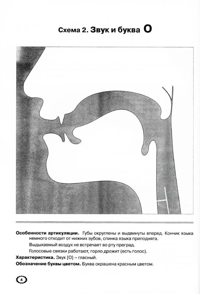 Артикуляция звуков в графическом изображении