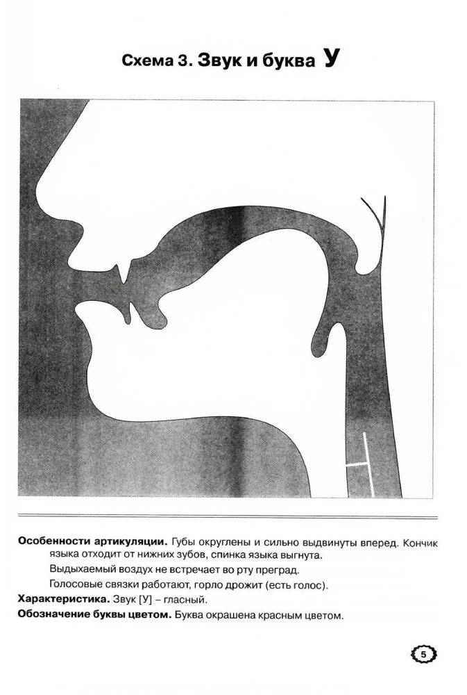 Articulation of sounds in graphic representation