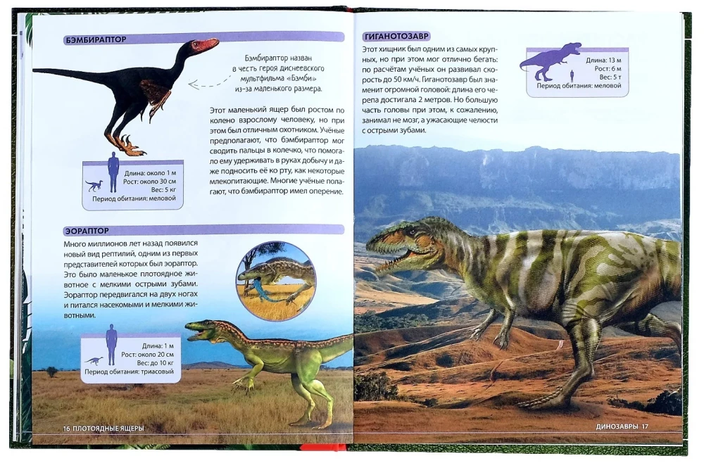 Amazing Dinosaurs