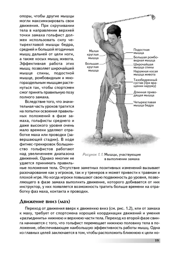 Anatomy of Golf