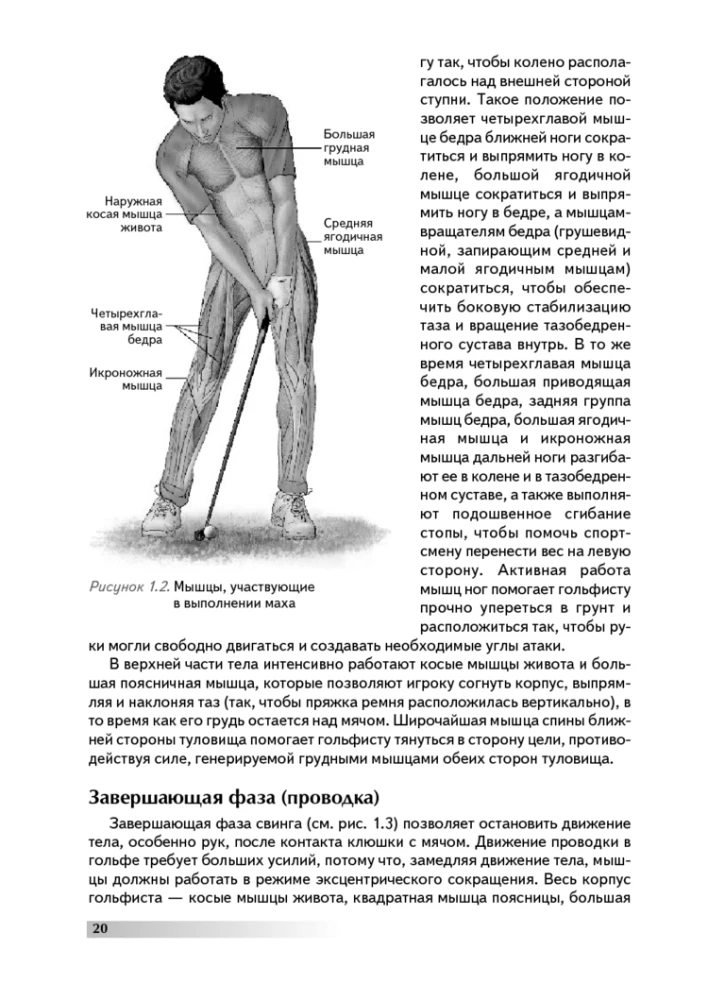 Anatomy of Golf