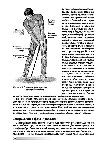 Anatomy of Golf