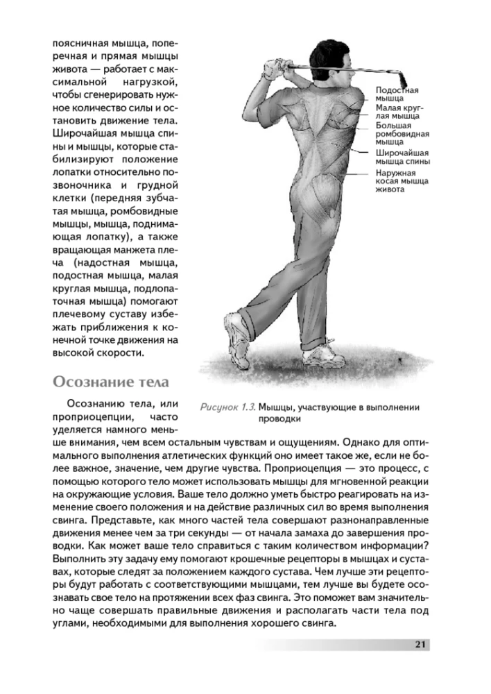 Anatomy of Golf