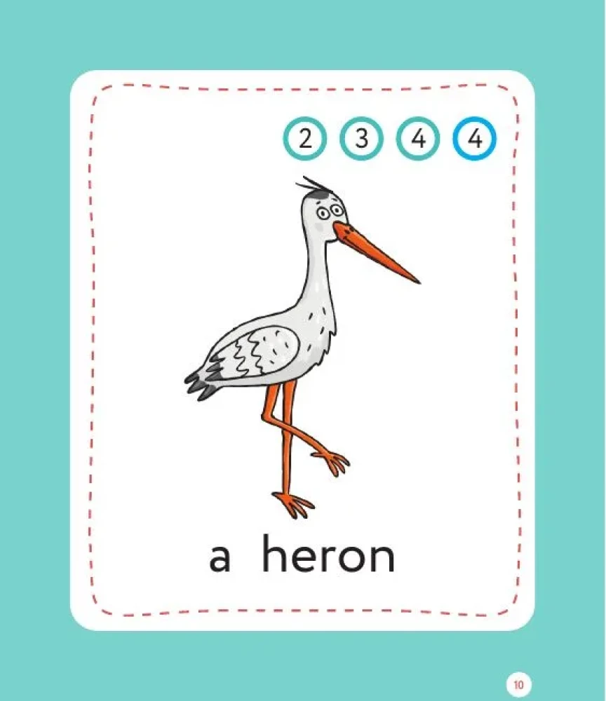 Teaching Cards - English for Primary School Students