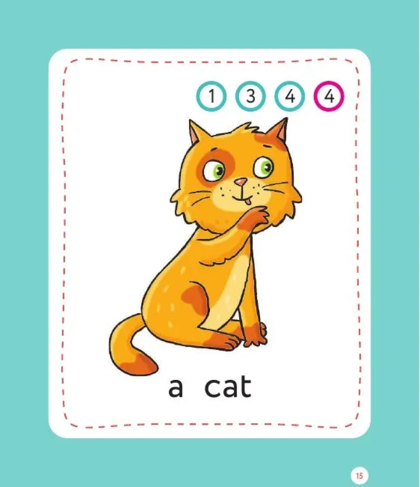 Teaching Cards - English for Primary School Students