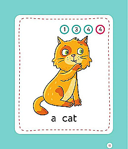 Teaching Cards - English for Primary School Students