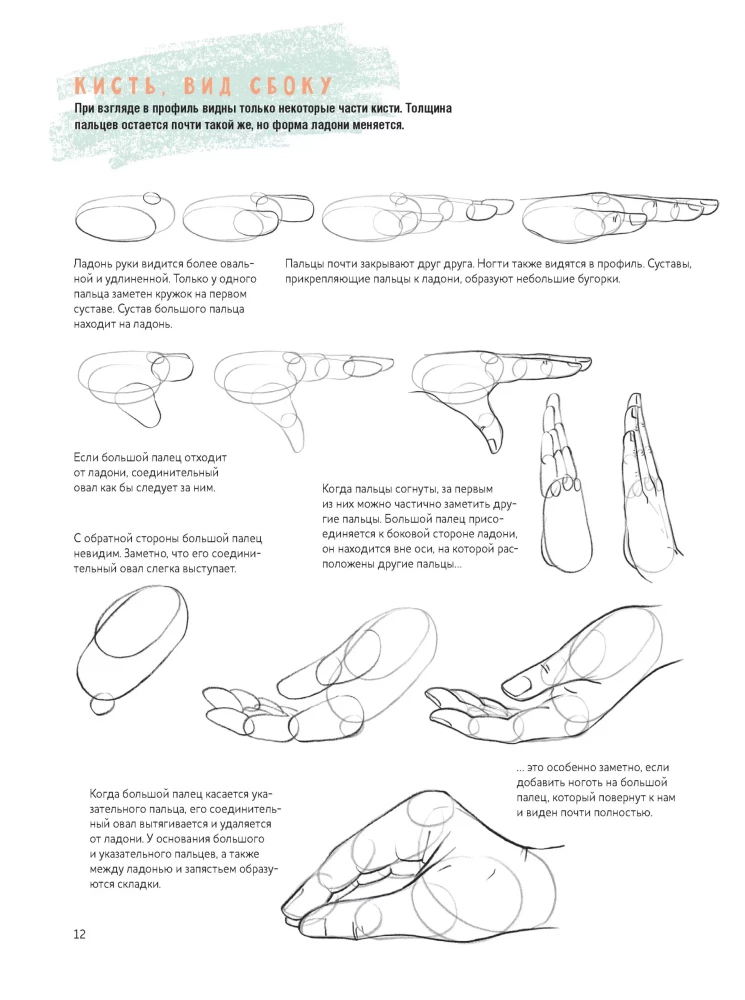 Sketchbook of a Beginner Artist. Drawing Hands and Feet Step by Step