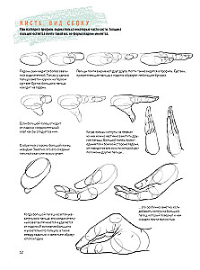 Sketchbook of a Beginner Artist. Drawing Hands and Feet Step by Step