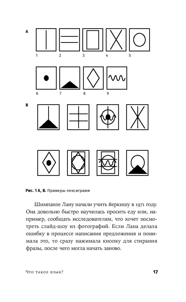 Catch the Babylonian Fish. The Human Brain, Neural Networks, and Language Learning