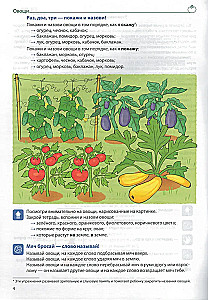 Developing Vocabulary. Vegetables, Fruits, Berries, Trees, Flowers, Mushrooms