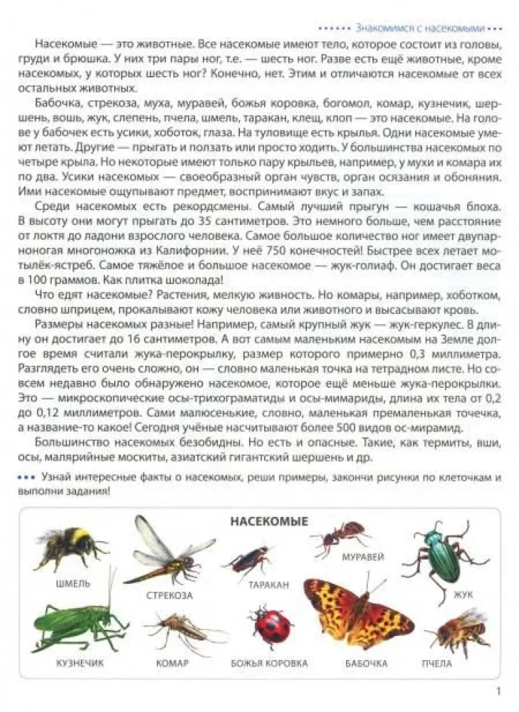 Step by Step on the Cells. Insects. Graphic Dictations for Children Aged 6-7 Years