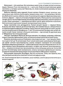 Step by Step on the Cells. Insects. Graphic Dictations for Children Aged 6-7 Years