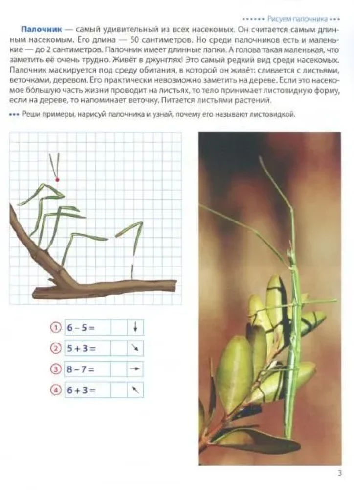 Step by Step on the Cells. Insects. Graphic Dictations for Children Aged 6-7 Years