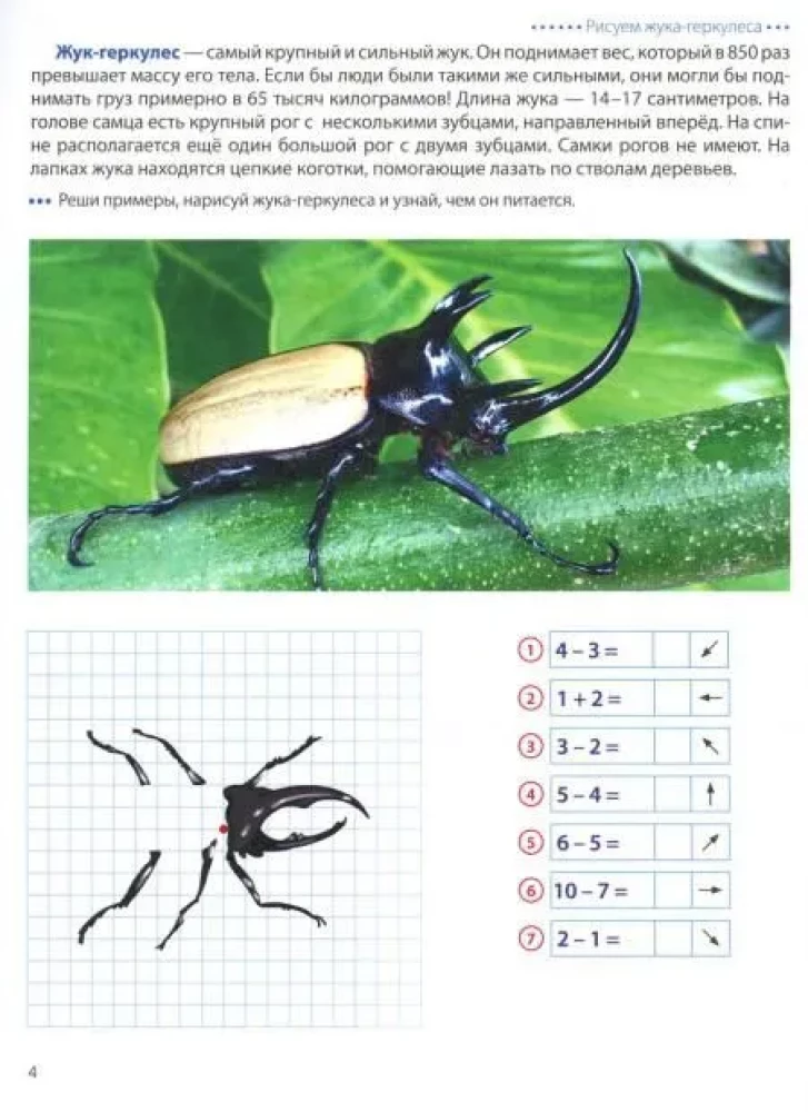 Step by Step on the Cells. Insects. Graphic Dictations for Children Aged 6-7 Years