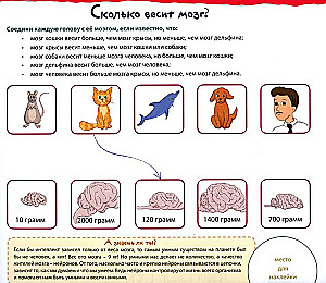 Академия смысла для детей. Тренируй свой мозг