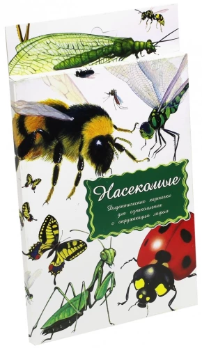 Дидактические карточки - Насекомые