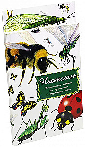 Didactic cards - Insects