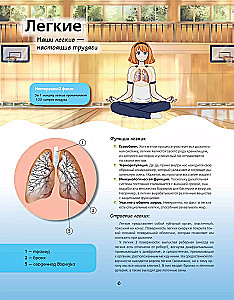 Atlas of Anatomy in Manga Style