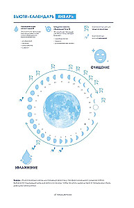 Astrological Daily Planner. Plan your 2025 year in the rhythm of the stars!