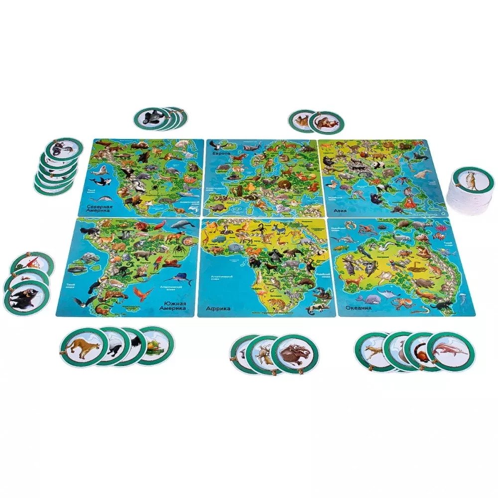 Board Game - Find Me! Animals of the World