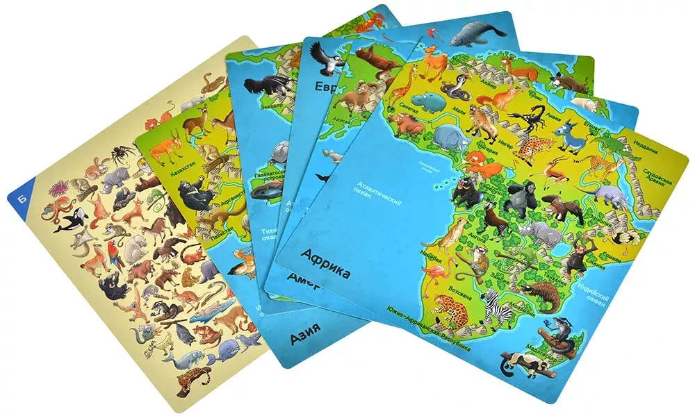 Board Game - Find Me! Animals of the World