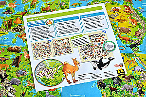 Board Game - Find Me! Animals of the World