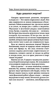 Чакры. Большое практическое руководство по работе с энергией тела. Как жить в балансе и усилить течение жизненной силы