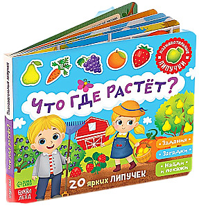 Sticker Book - What Grows Where?