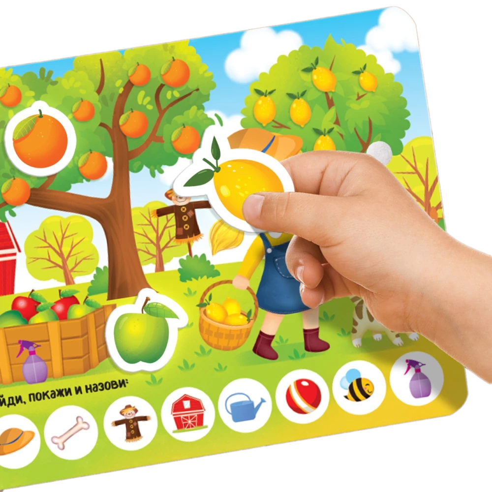 Sticker Book - What Grows Where?