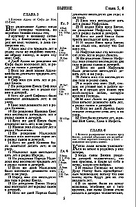 The Bible. Synodal Translation of 1876