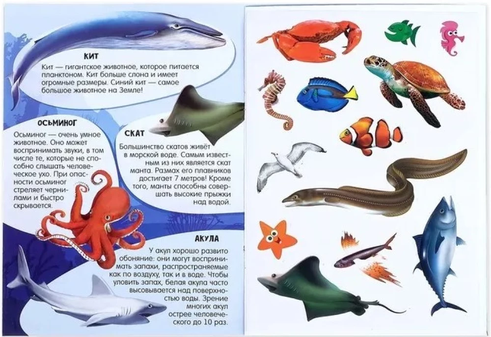 Activity Book with Stickers and Growing Toys - Ocean