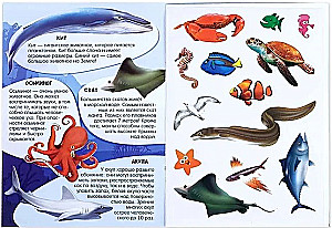 Activity Book with Stickers and Growing Toys - Ocean