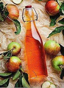 Homemade Cider, Wine and Brandy. Technologies and Recipes for Drinks