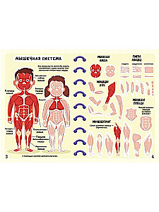 Mega Stickers. Human Body