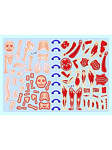 Mega Stickers. Human Body