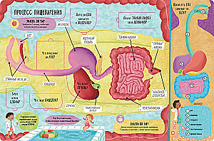 The Big Book with Windows. The Human Body