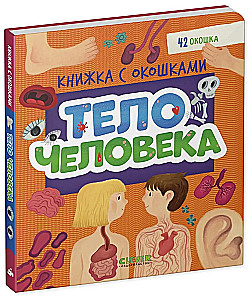 Тело человека