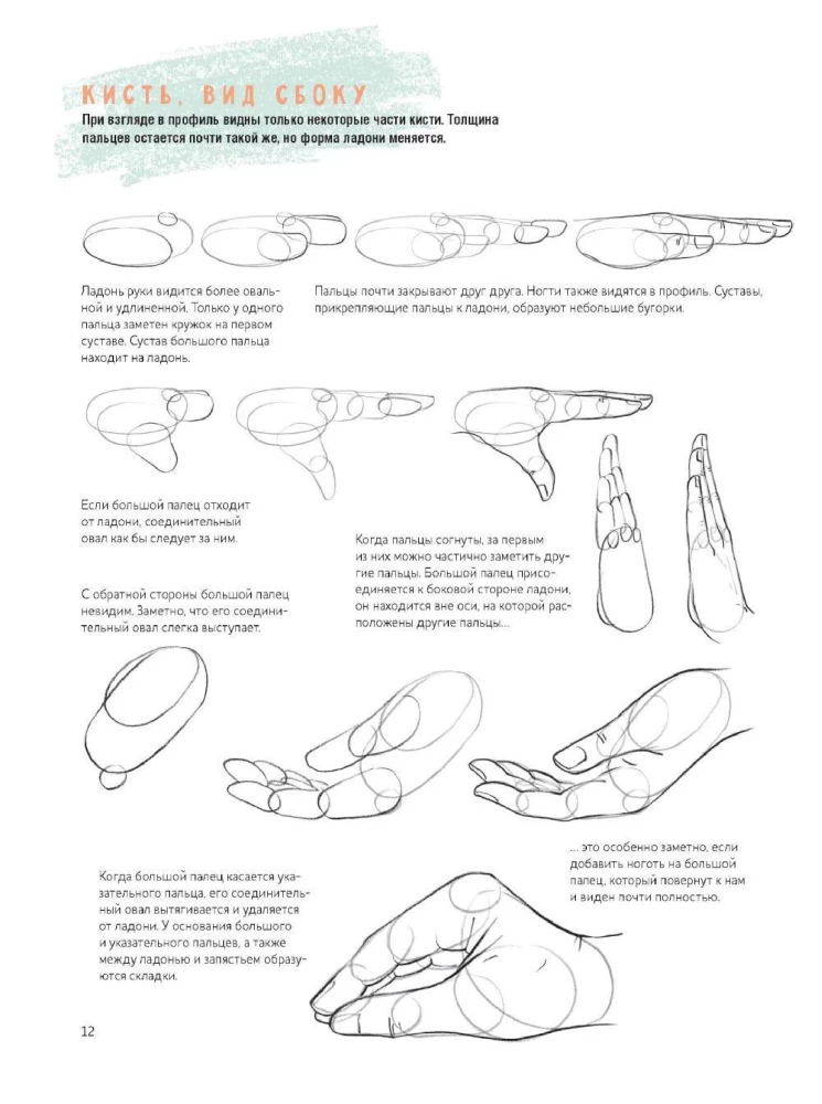 Drawing Hands and Feet Step by Step. 50 Projects with Detailed Explanations and Drawings: Beginner Artist's Sketchbook