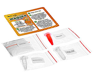 Experiment Kit - Hand Gum. Bold Orange