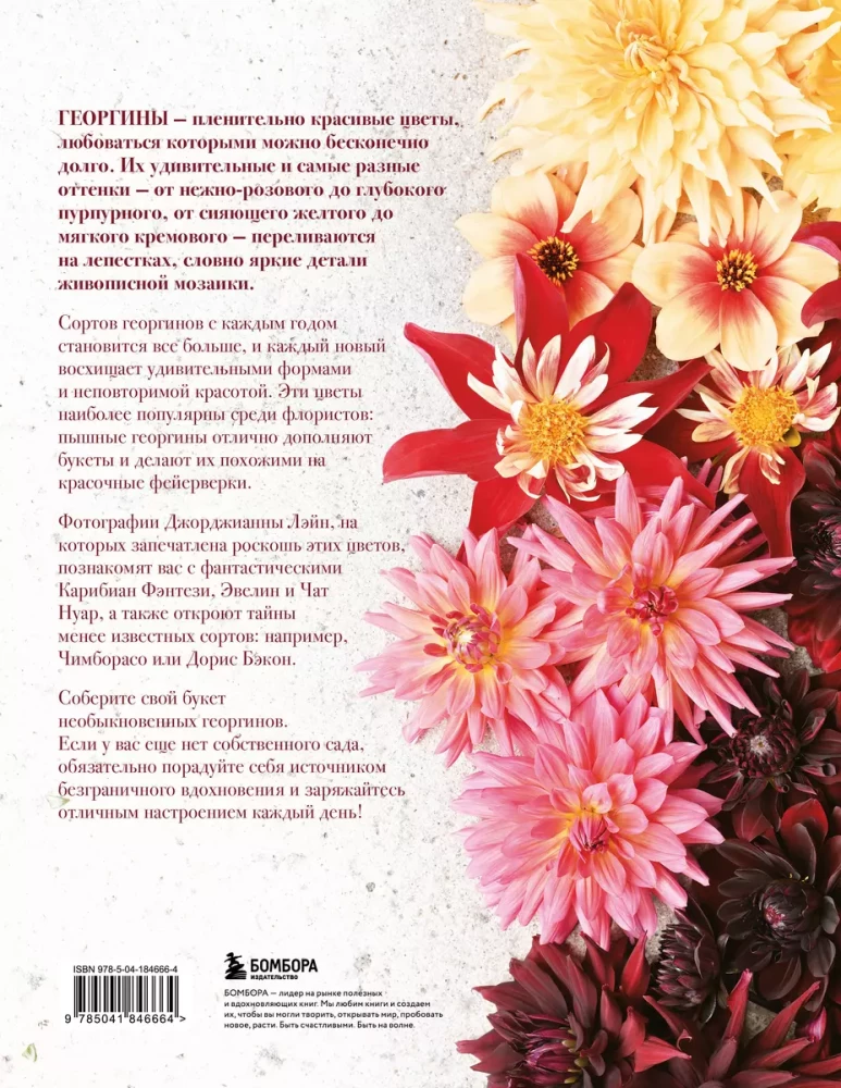 Dahlias. Extraordinary flowers for home and garden